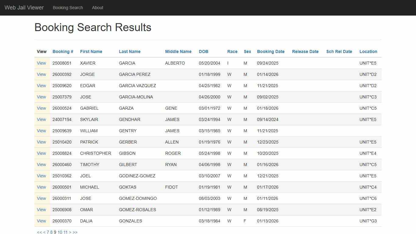 BookingSearchDetail - Web Jail Viewer